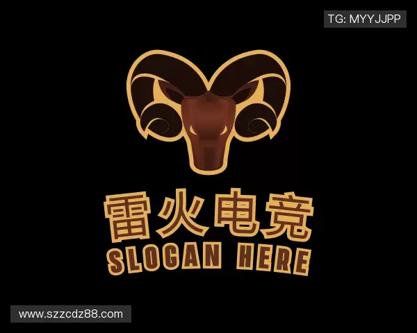 介绍雷火电竞官网